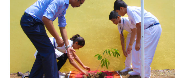 TREE PLANTATION ACTIVITY 29-06-2019 CLASS:- 1 TO 10